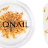 NEONAIL Dried Flowers 03 - Orange