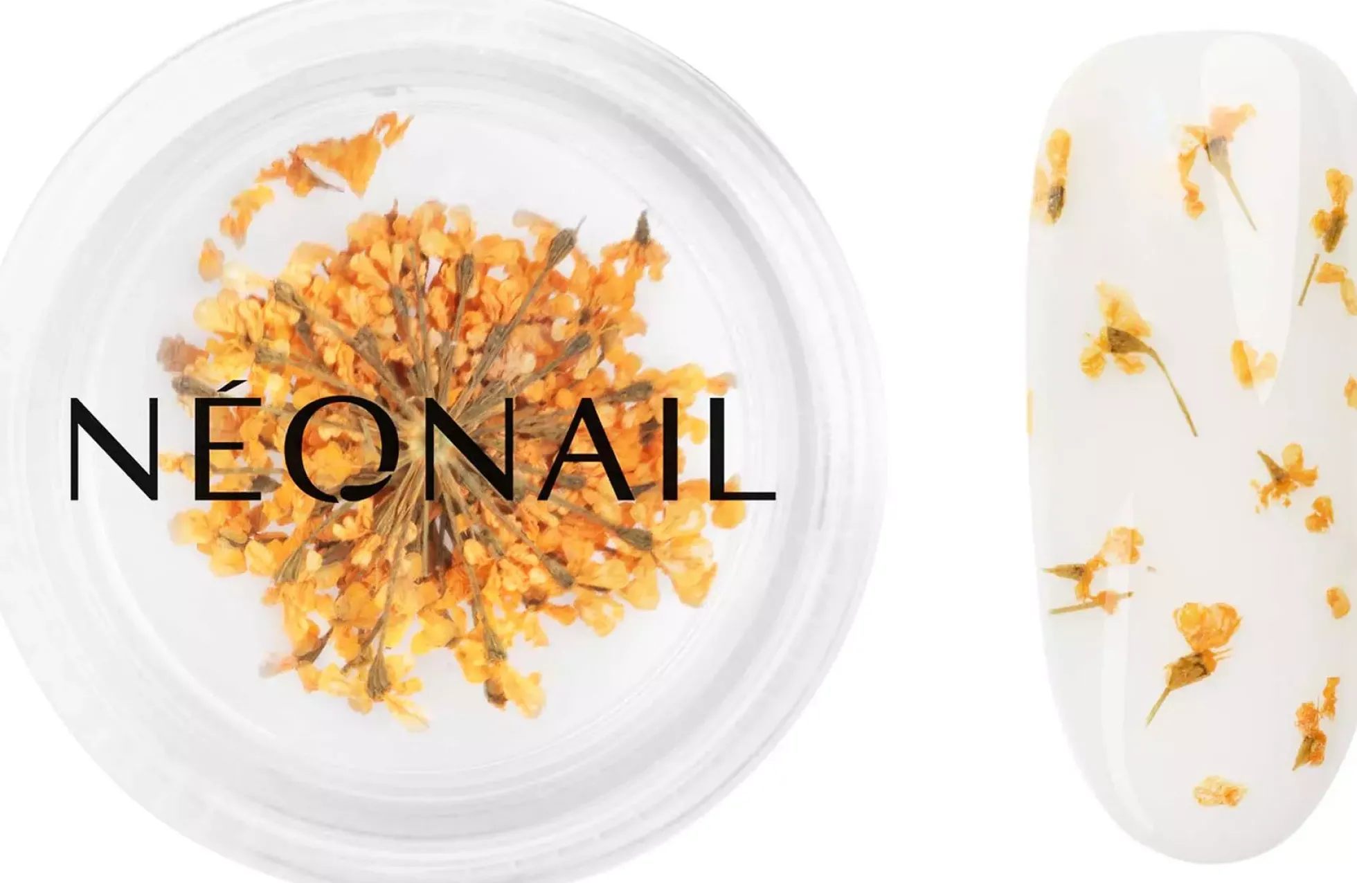 NEONAIL Dried Flowers 03 - Orange