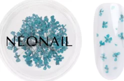 NEONAIL Dried flowers Turquoise