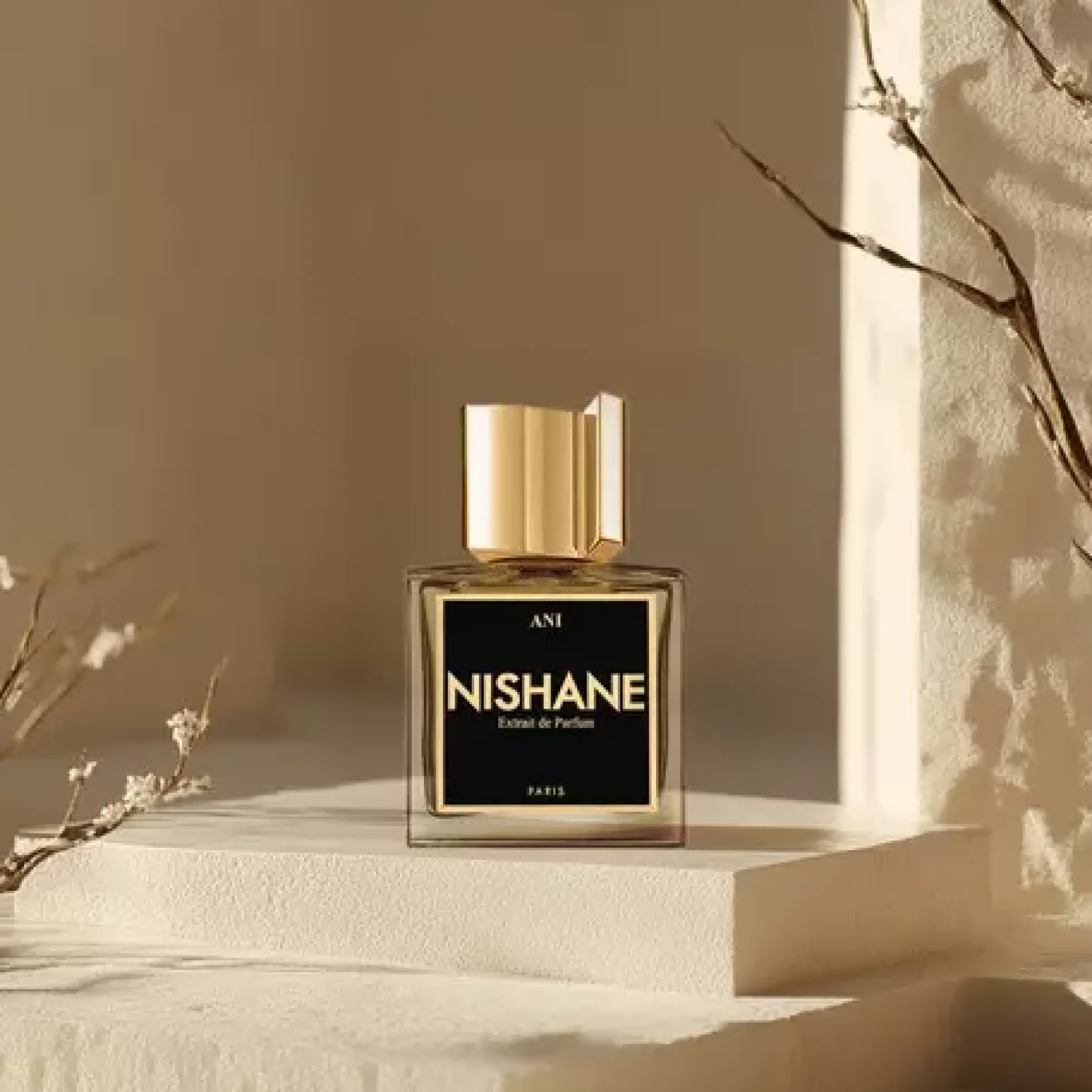 Nishane Ani 50 ml