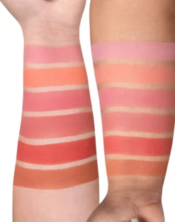OFRA Cosmetics Mini Mix Palette Charm Your Cheeks