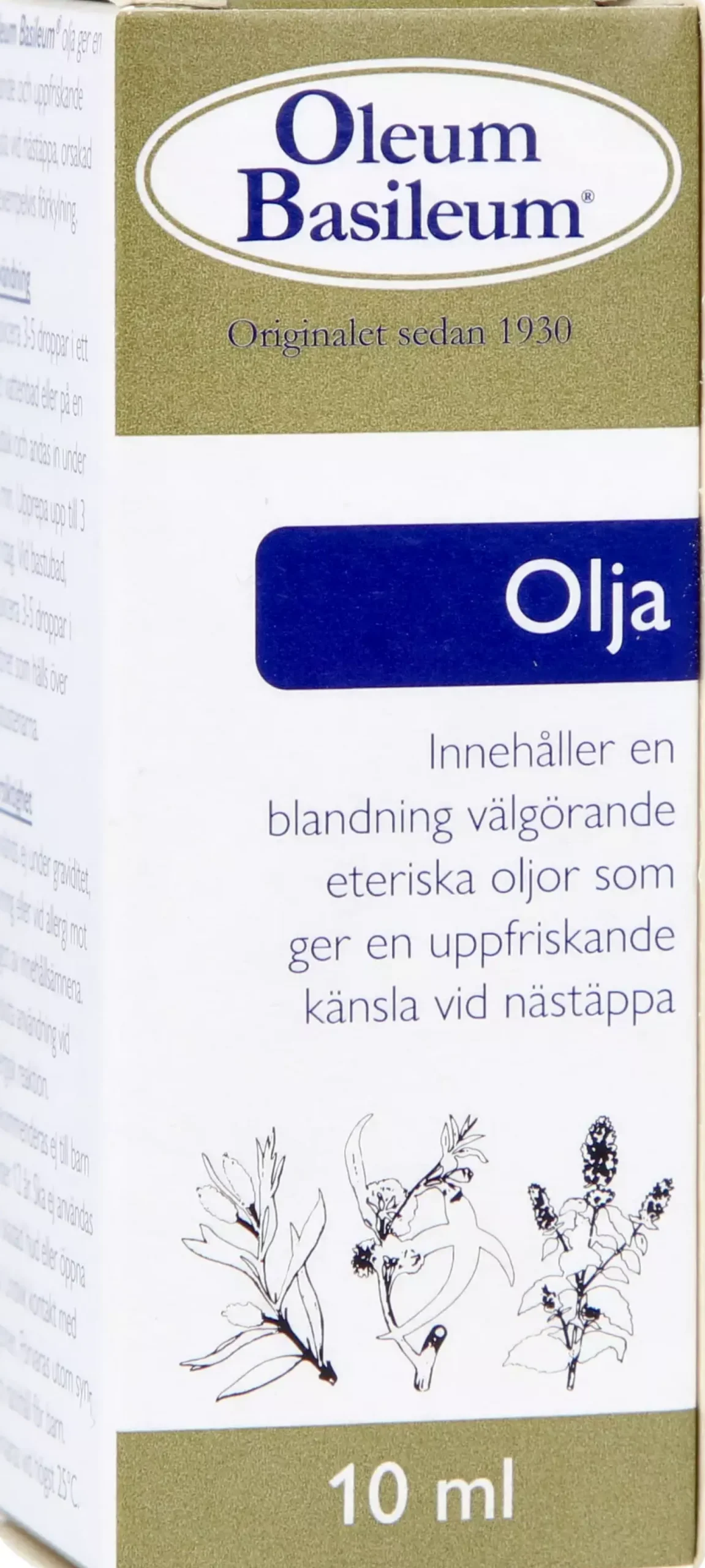 Oleum Basileum Basileum Olja 10 ml