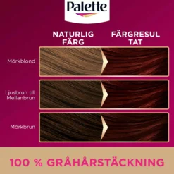 Palette Intensive Creme Coloration 5-11 Light Ash Brown
