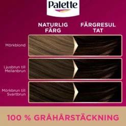 Palette Intensive Creme Coloration L6-0 Ultra Blond