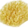 Palmetten Mediterranean Sponge Medium Medium