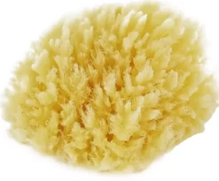 Palmetten Mediterranean Sponge Medium Medium