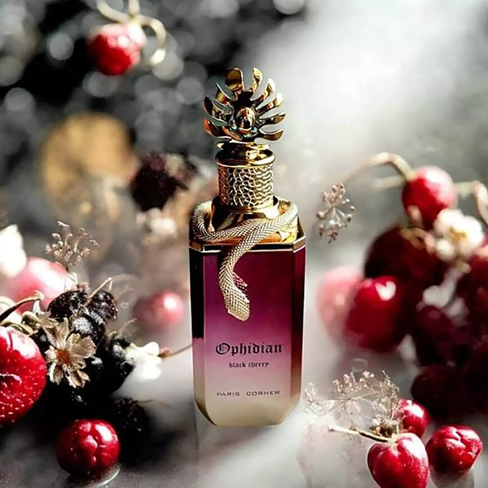 Paris Corner Ophidian Black Cherry Eau de Parfum 100 ml