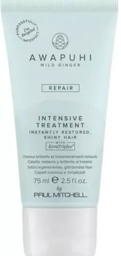 Paul MitchellAwapuhi Wild Ginger Intensive Treatment 500 ml