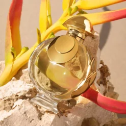 Rabanne Olympéa Elixir Eau de Parfum Intense 30 ml