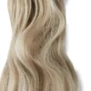 Rapunzel of Sweden Vegan Ponytail Beach Wave / Clip-in / Medium Volume 40 cm M7.3/10.8 Cendre Ash Blonde Mix