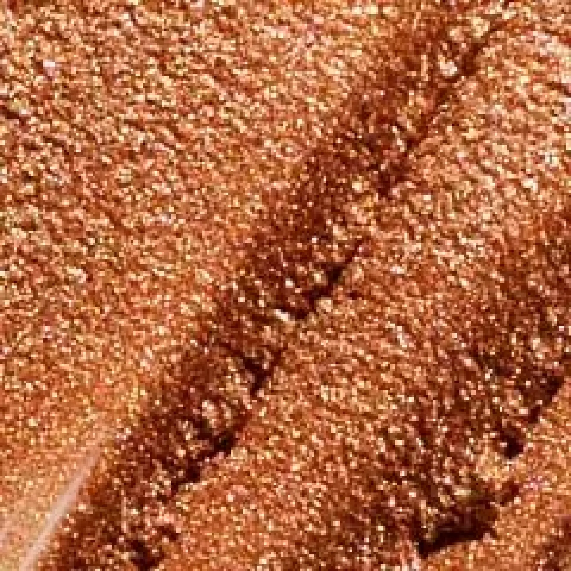 Rose Inc Solar Radiance Cream Highlighter Refill Brilliant