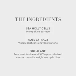 Rose Inc Solar Radiance Cream Highlighter Refill Brilliant