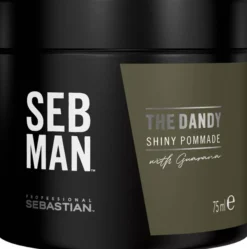 SEB MAN The Dandy Shiny Pommade 75 ml
