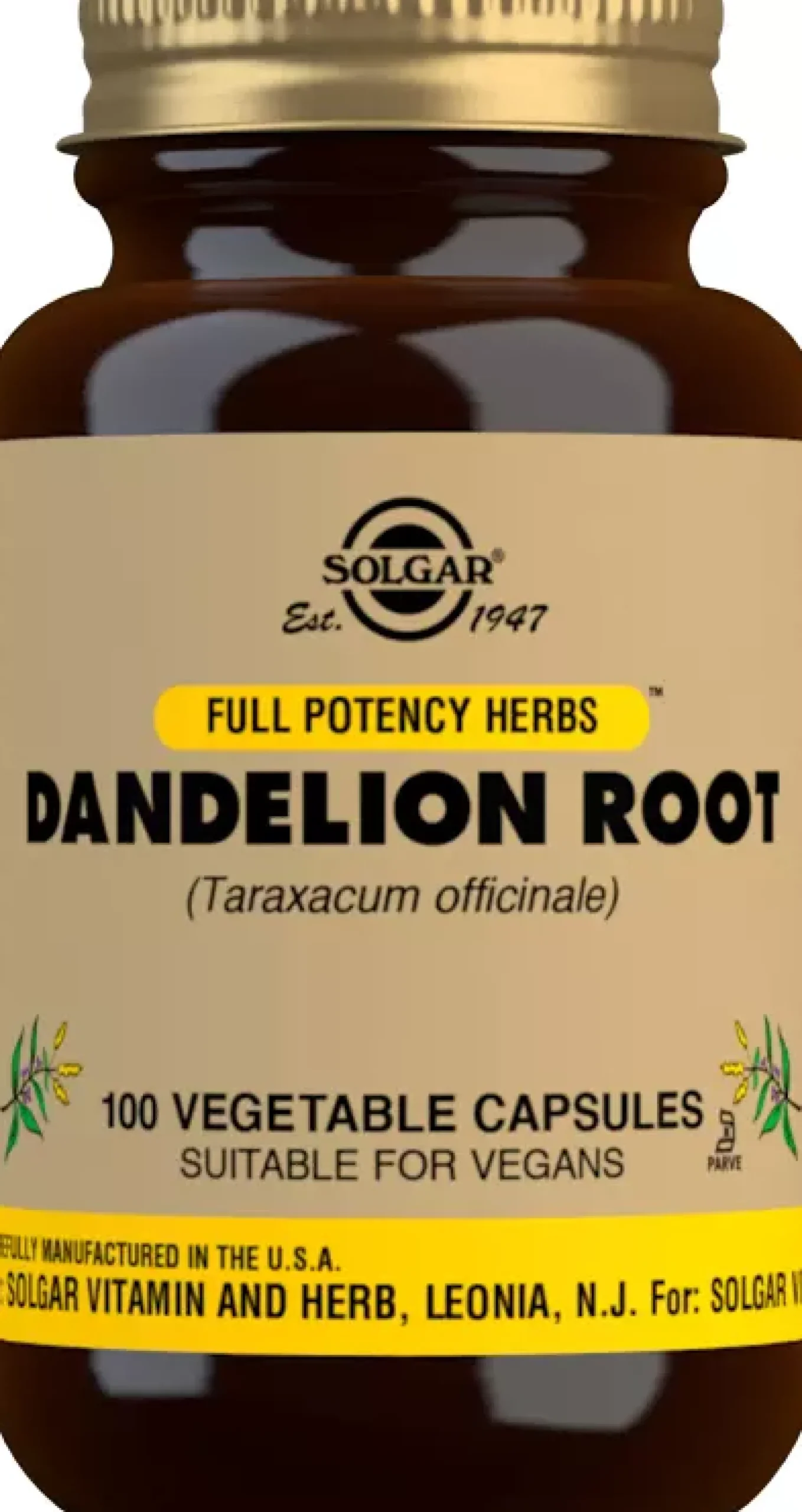 Solgar Dandelion Root 100 st