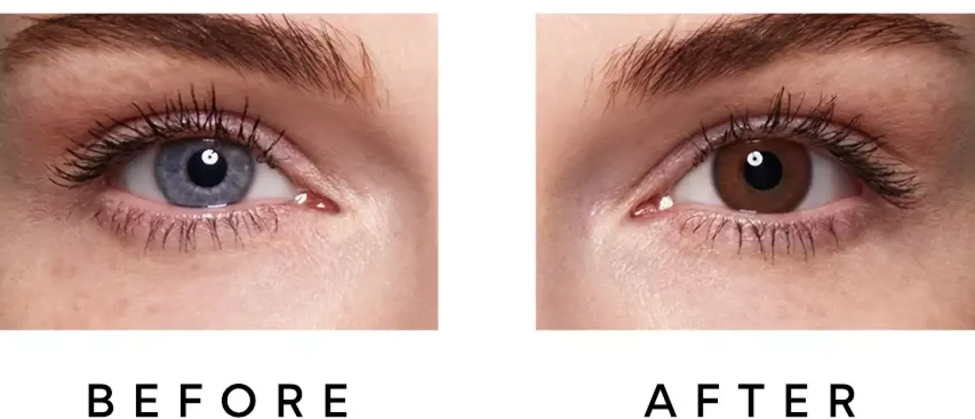 SWATI Cosmetics 6 Month Lenses Bronze