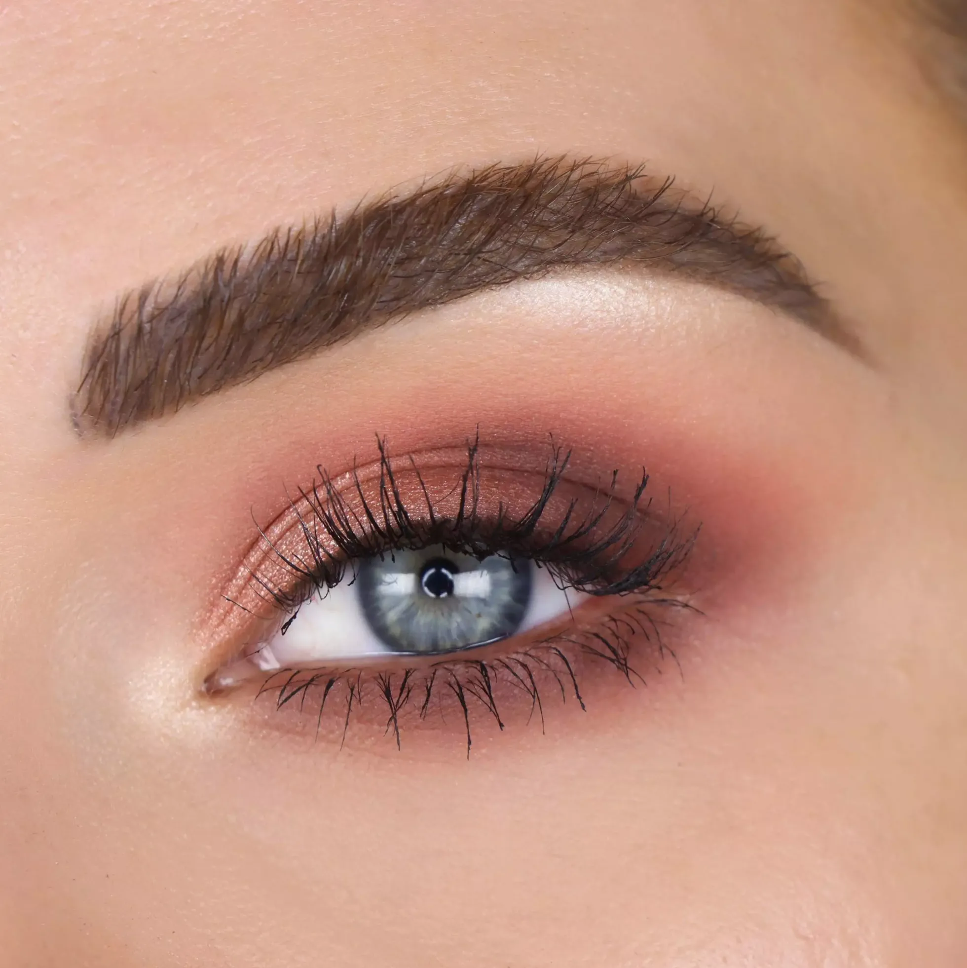 the Balm Male Order Domestic Eyeshadow Palette